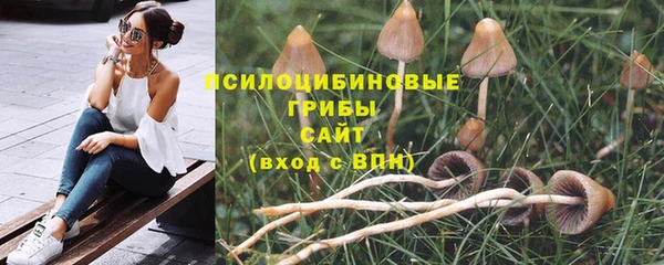 mix Армянск