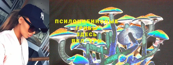 mix Армянск
